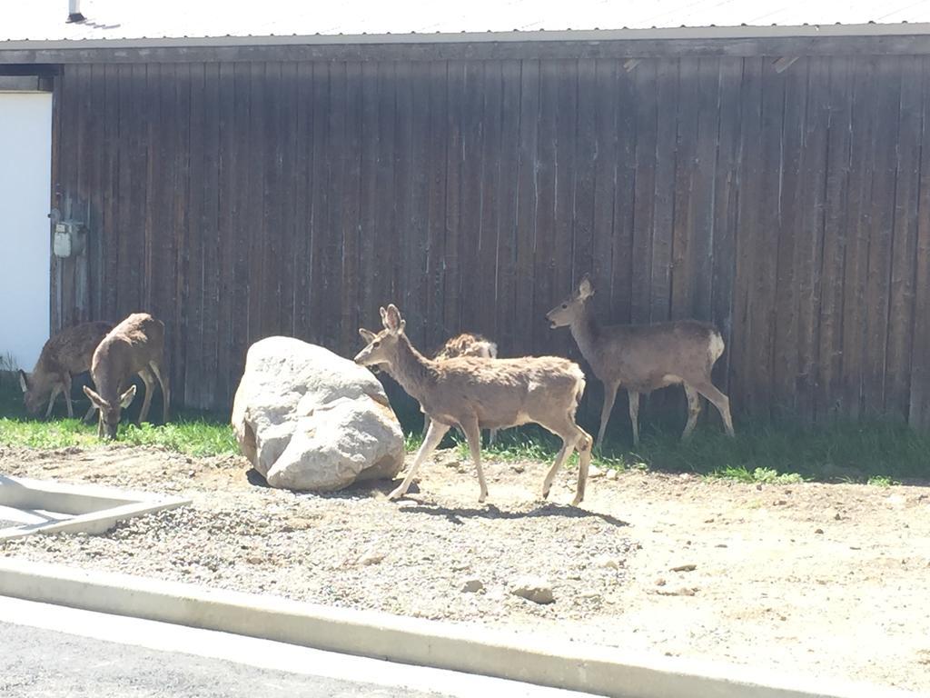 Yellowstone Big Rock Inn การ์ดีเนอร์ ภายนอก รูปภาพ